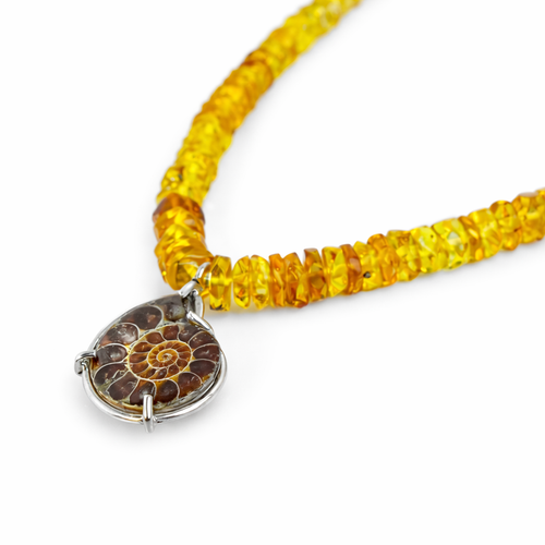 ambaramarillochiapas