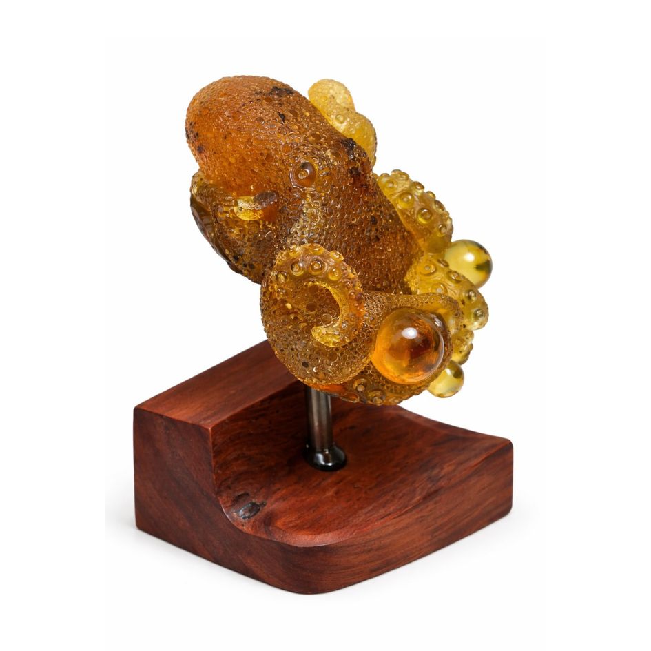 Pulpo