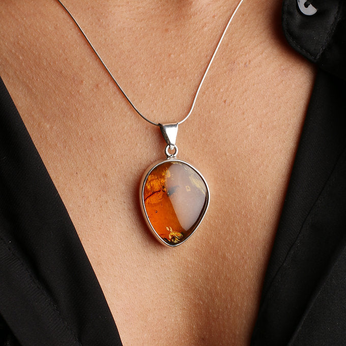 Encanto (con insectos fósiles)