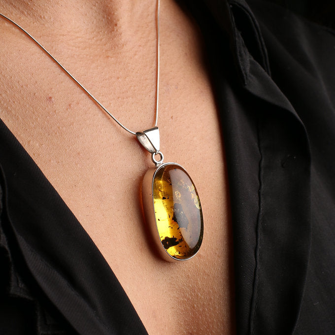 Alma (con insectos fósiles)