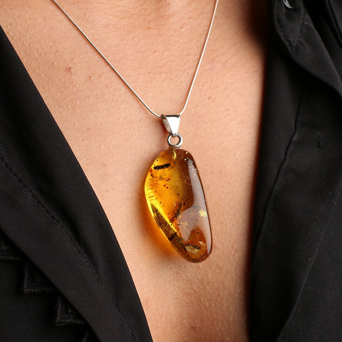 Kakaw (con insectos fósiles)