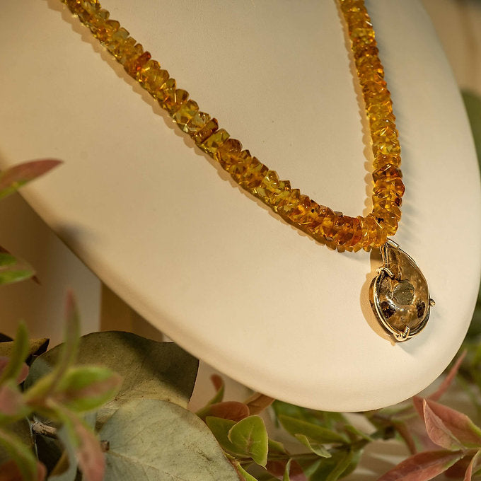 ambaramarillochiapas