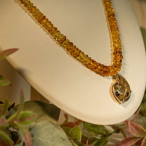 ambaramarillochiapas